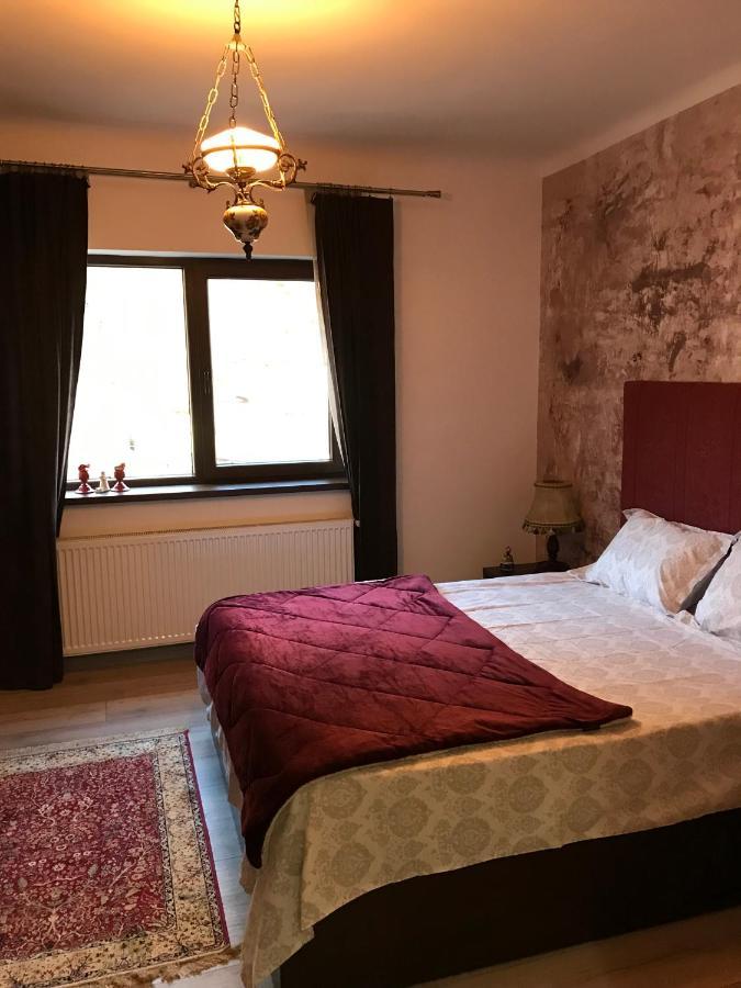 Casa Mountain View Villa Braşov