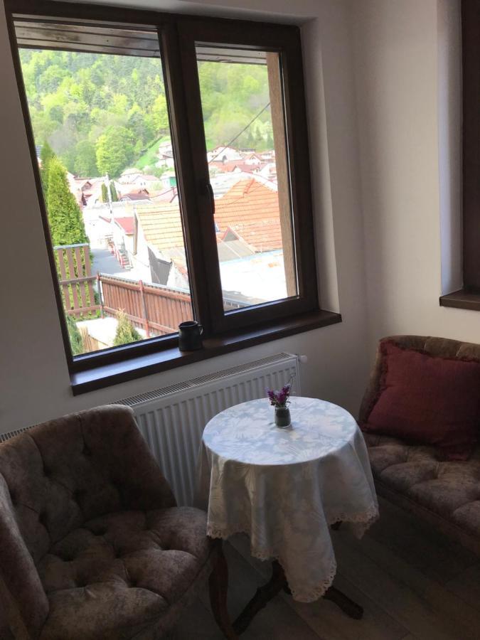 Casa Mountain View * Braşov