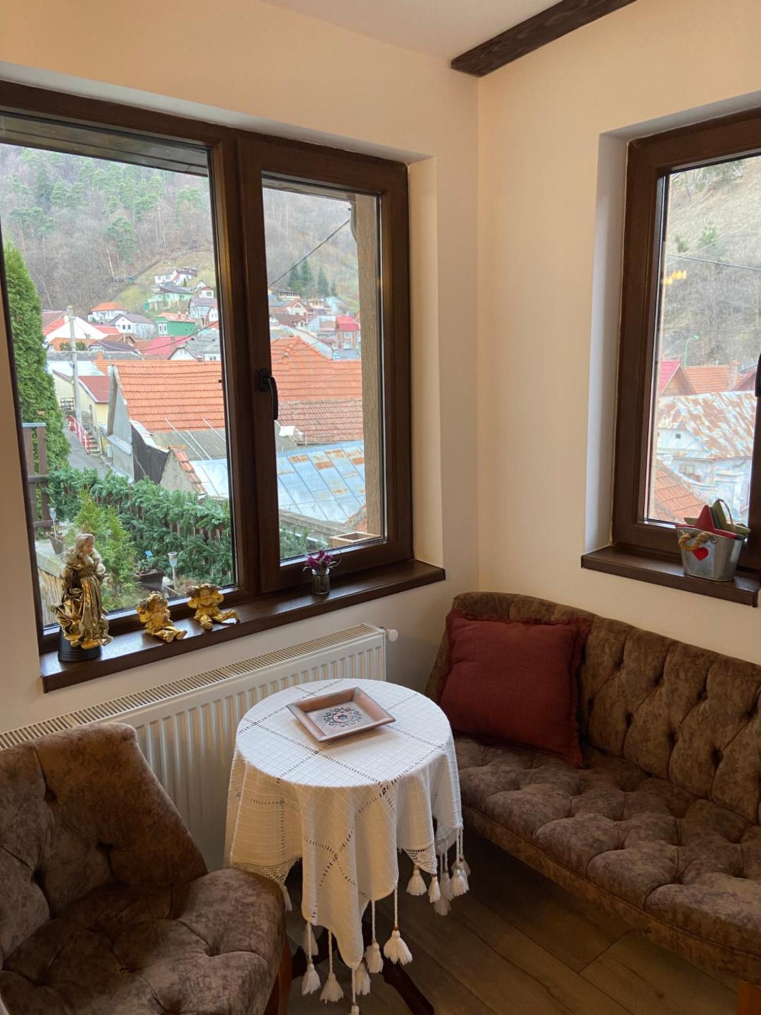 Casa Mountain View * Braşov
